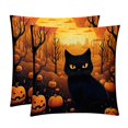 thumbnail image 1 of Cat Set of 2 Velvet Throw Pillow Covers Inserts for Bed Pillow, Decorative Pillows - 16x16 18x18 20x20 Inches with Unique Patterns for Various Occasions, 1 of 1