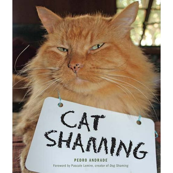 Pre-Owned Cat Shaming (Paperback) 1449478395 9781449478391