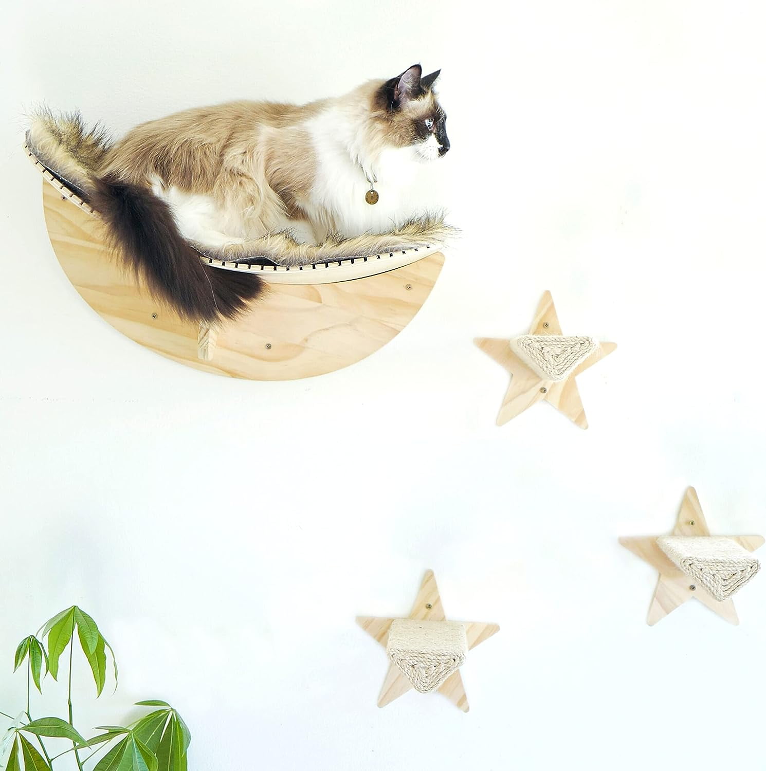 Cat Shelves and Perches for Wall. Cat Shelves, Cat Shelf, Cat Wall