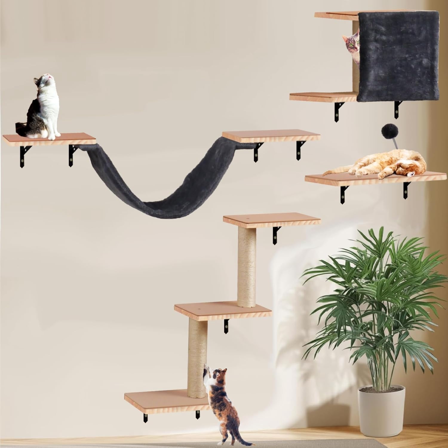 View of Cat Shelves for Wall, Solid Wood Cat Wall Furniture, with Cat's House ...