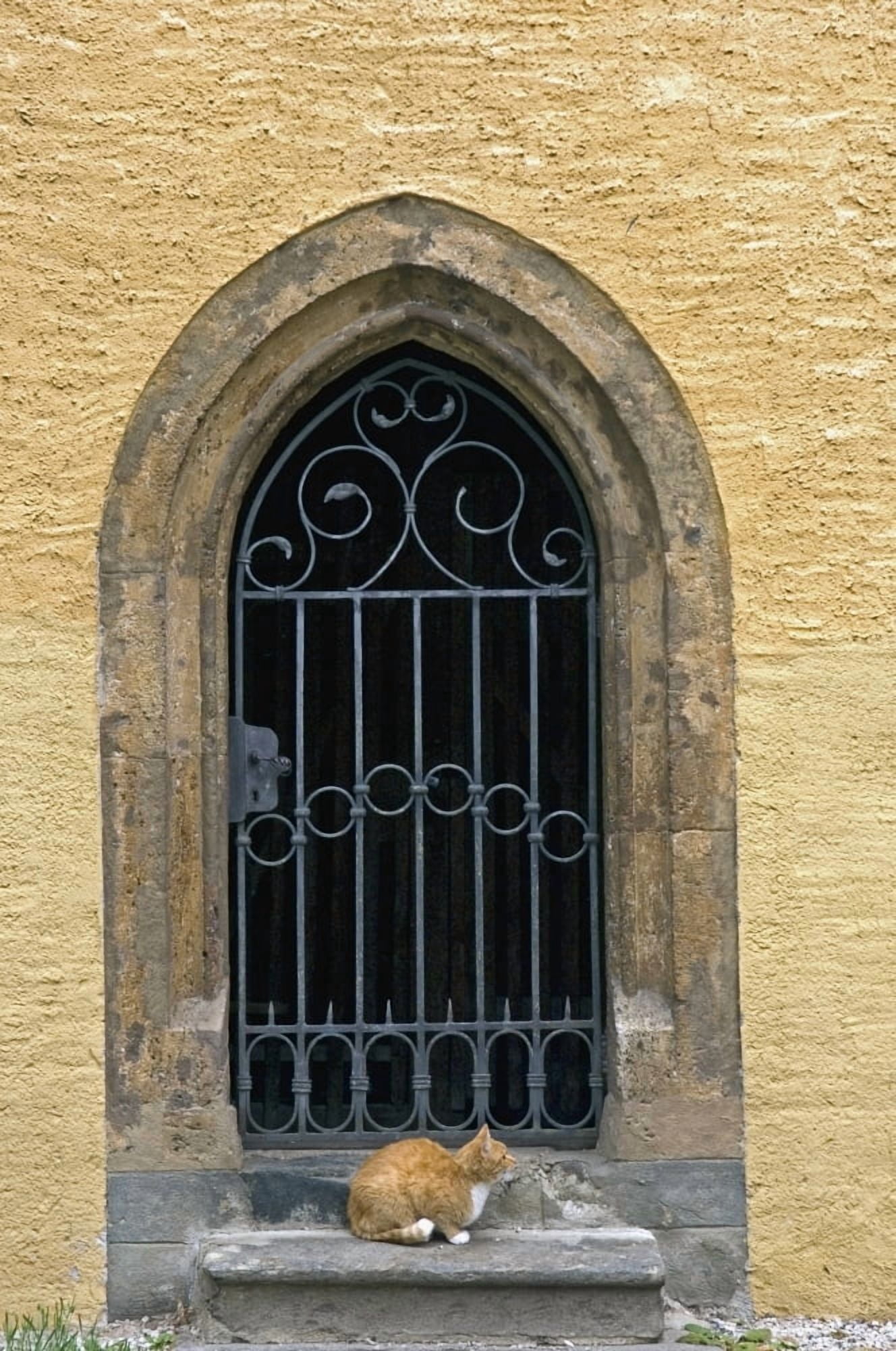 Cat Sitting On Window Sill At Millstatt Monastery Canvas Art - Chris Parker Design Pics (11 x 17)