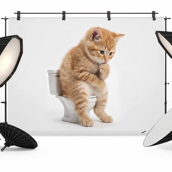 Cat Sitting on The Toilet Thinking Photography Backdrop 7x5FT, Abstract Funny Animal Photo Backdrops, Background for Photography Studio Photo Studio Background, Back Drop for Photoshoot