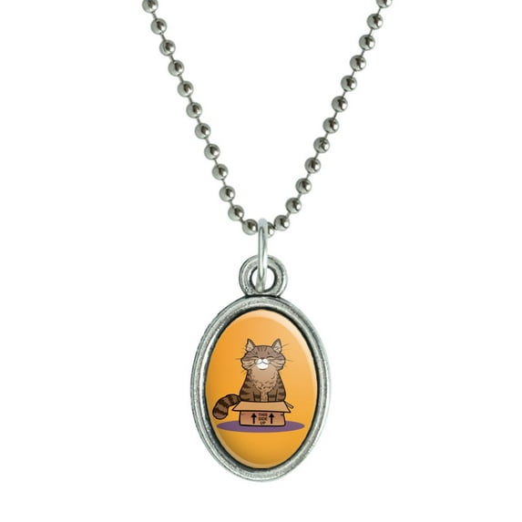 Cat Sitting in Box Antiqued Oval Charm Pendant with Chain