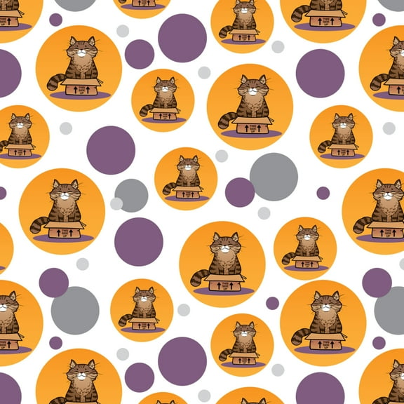 Cat Sitting in Box Premium Gift Wrap Wrapping Paper Roll