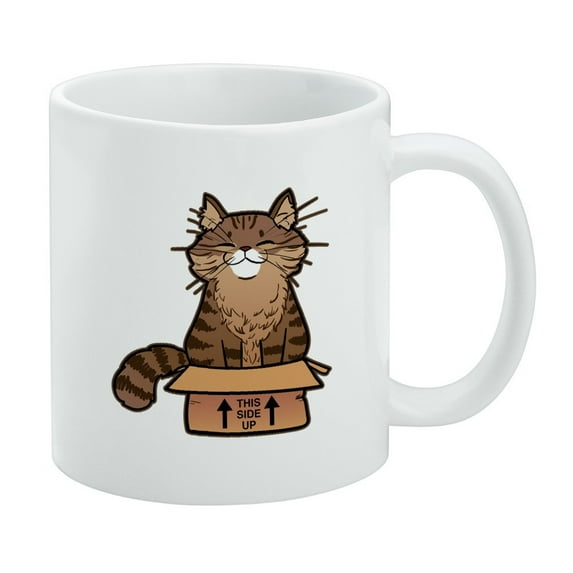 Cat Sitting in Box White Mug