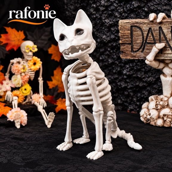 Cat Skeleton Halloween Decoration, Posable Skeleton Cat with Movable Joints, Realistic Animal Skeleton Decor for Halloween Party Indoor Outdoor Display