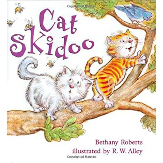 Pre-Owned Cat Skidoo Paperback