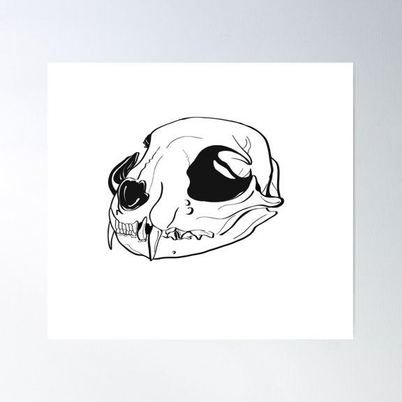 Cat Skull Sticker And Pattern Poster Wall Art, Modern Wall Decor For Living Room Bedroom, 16x16 UNFRAMED