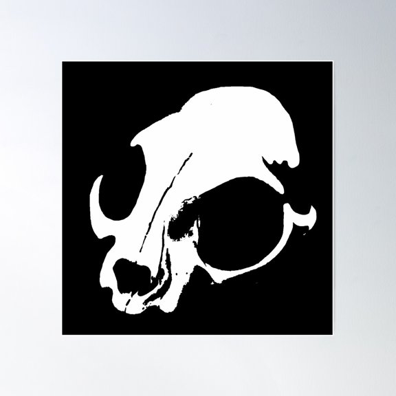 Cat Skull White Poster Wall Art, Modern Wall Decor For Living Room Bedroom, 16x16 UNFRAMED