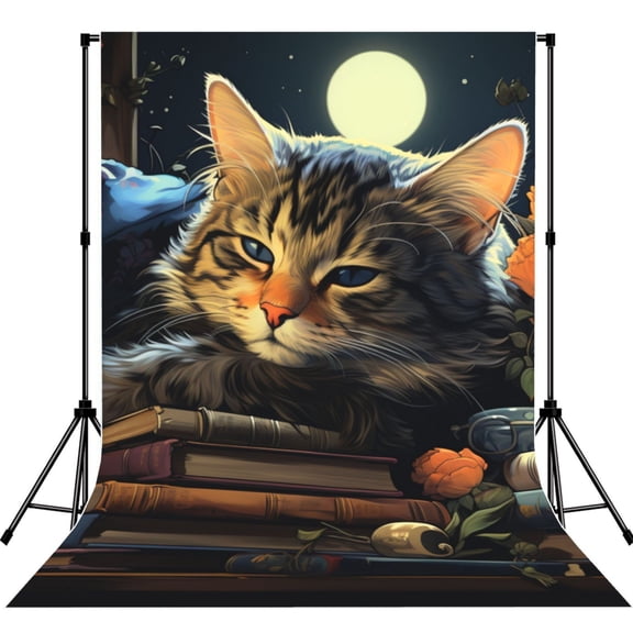 Cat Sleeping Bookshelf Books Art Photography Backdrop 5x7Ft Background for Photo Studio Video Recording Birthday Party Wedding Home Decor