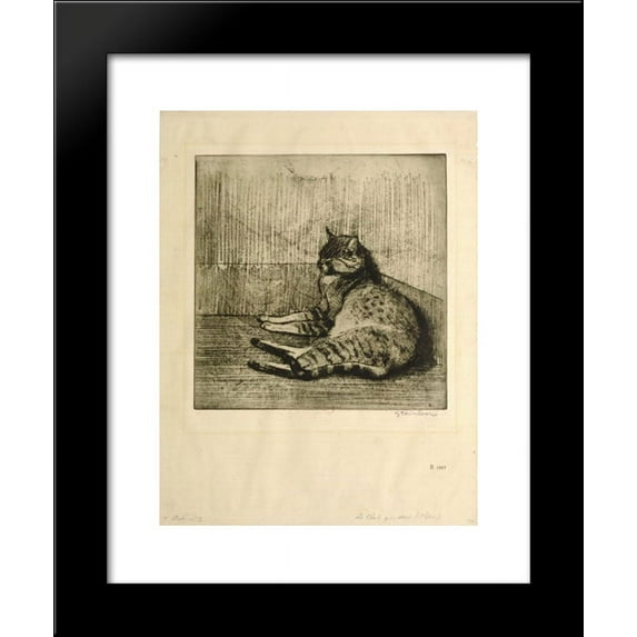 Cat Sleeping In A Corner 20x24 Framed Art Print by Theophile Steinlen