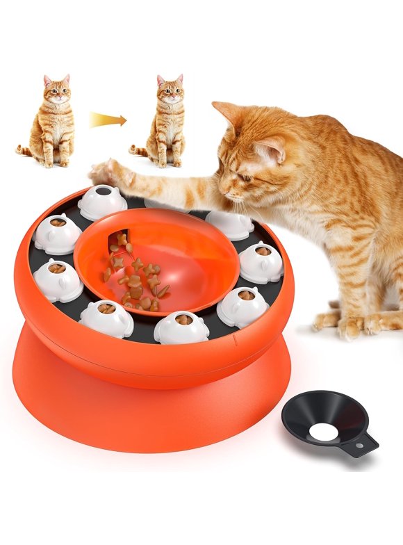 Cat Toys in Cats