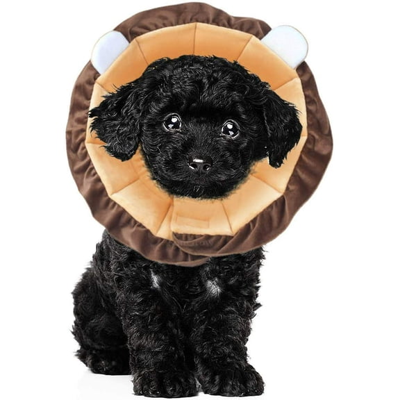 Cat Small Dog Recovery Collar, Cute Lion Neck Cone After Surgery, Adjustable Pet E Collar, Wound Healing Protective Cone Surgery Recovery Elizabethan Collars for Small Pets