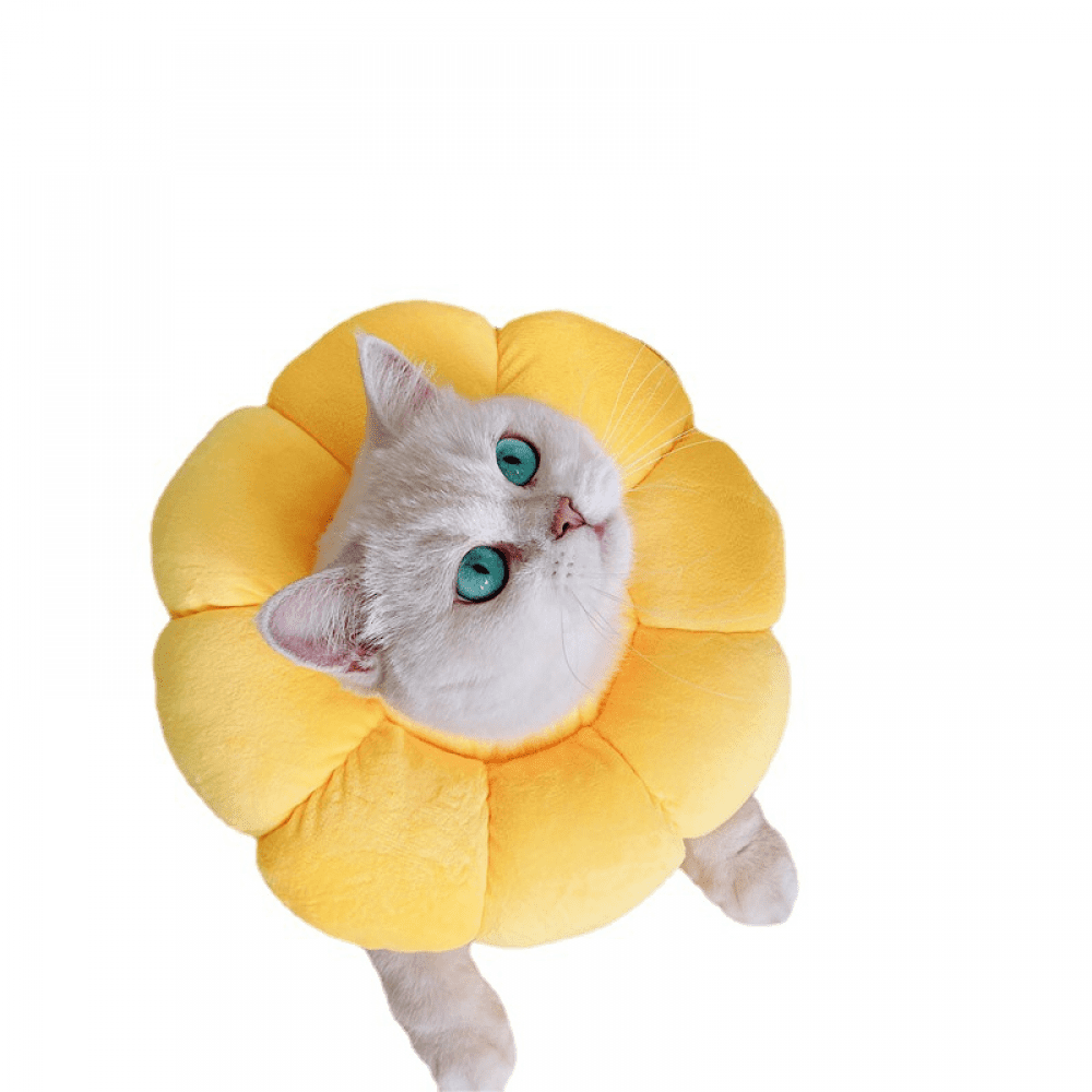 Cat Small Dog Recovery Collar, Cute Neck Cone After Surgery, Adjustable