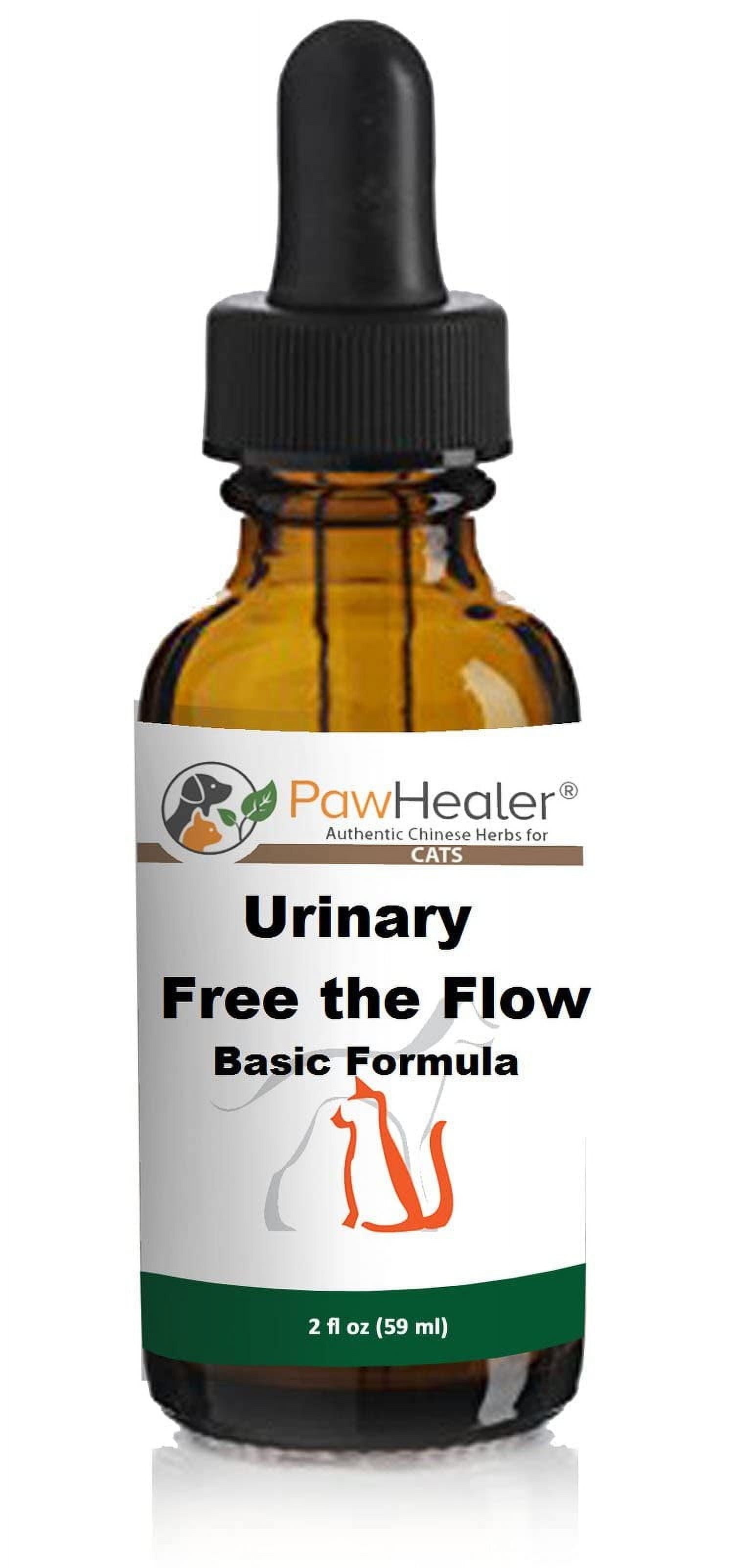 Herbal Remedy For Cat Kidney Stones preview