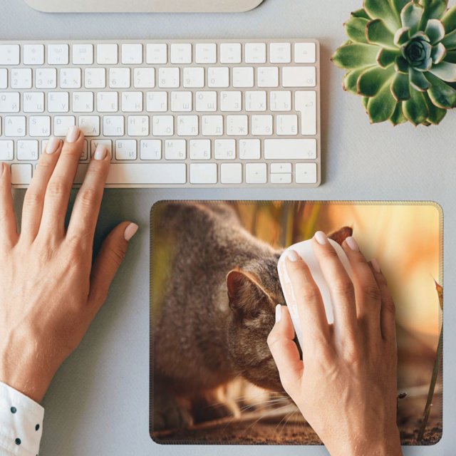 Cat Smelling Crab Print Rubber Lock Edge Mouse pad, Office Desk pad