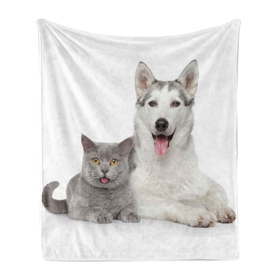 Cat Soft Flannel Fleece Blanket, Animal Theme a Dog and a Cat Lying Together on the White Background Digital Image, Cozy Plush for Indoor and Outdoor Use, 50" x 60", White and Grey, by Ambesonne
