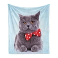 thumbnail image 1 of Cat Soft Flannel Fleece Blanket, Tuxedo Grey Scottish Fold Theme White Polka Dots Tie Bow Funny Illustration, Cozy Plush for Indoor and Outdoor Use, 60" x 80", Pale Blue Purpleblue, by Ambesonne, 1 of 6