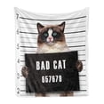 thumbnail image 1 of Cat Soft Flannel Fleece Throw Blanket, Bad Gang Cat in Jail Kitty Under Arrest Criminal Prisoner Hangover Work, Cozy Plush for Indoor and Outdoor Use, 50" x 70", Brown Black White, by Ambesonne, 1 of 6