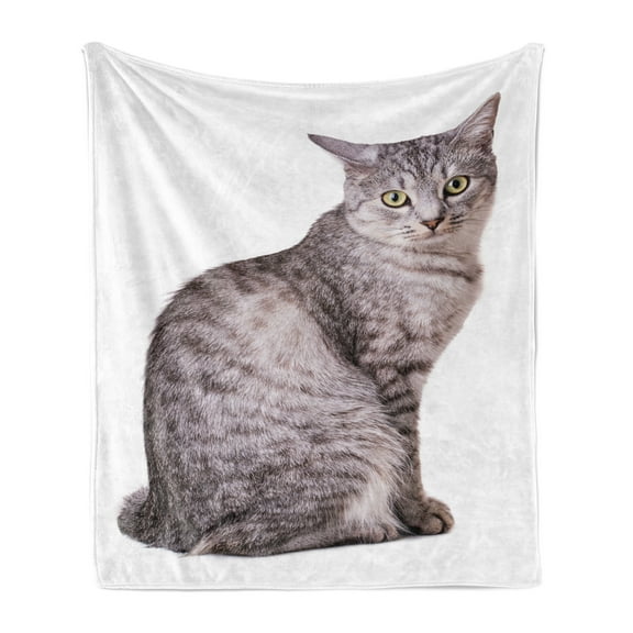 Cat Soft Flannel Fleece Throw Blanket, Grey Tabby Side Profile on a Plain Background, Cozy Plush for Indoor and Outdoor Use, 50" x 70", Taupe Dimgray, by Ambesonne