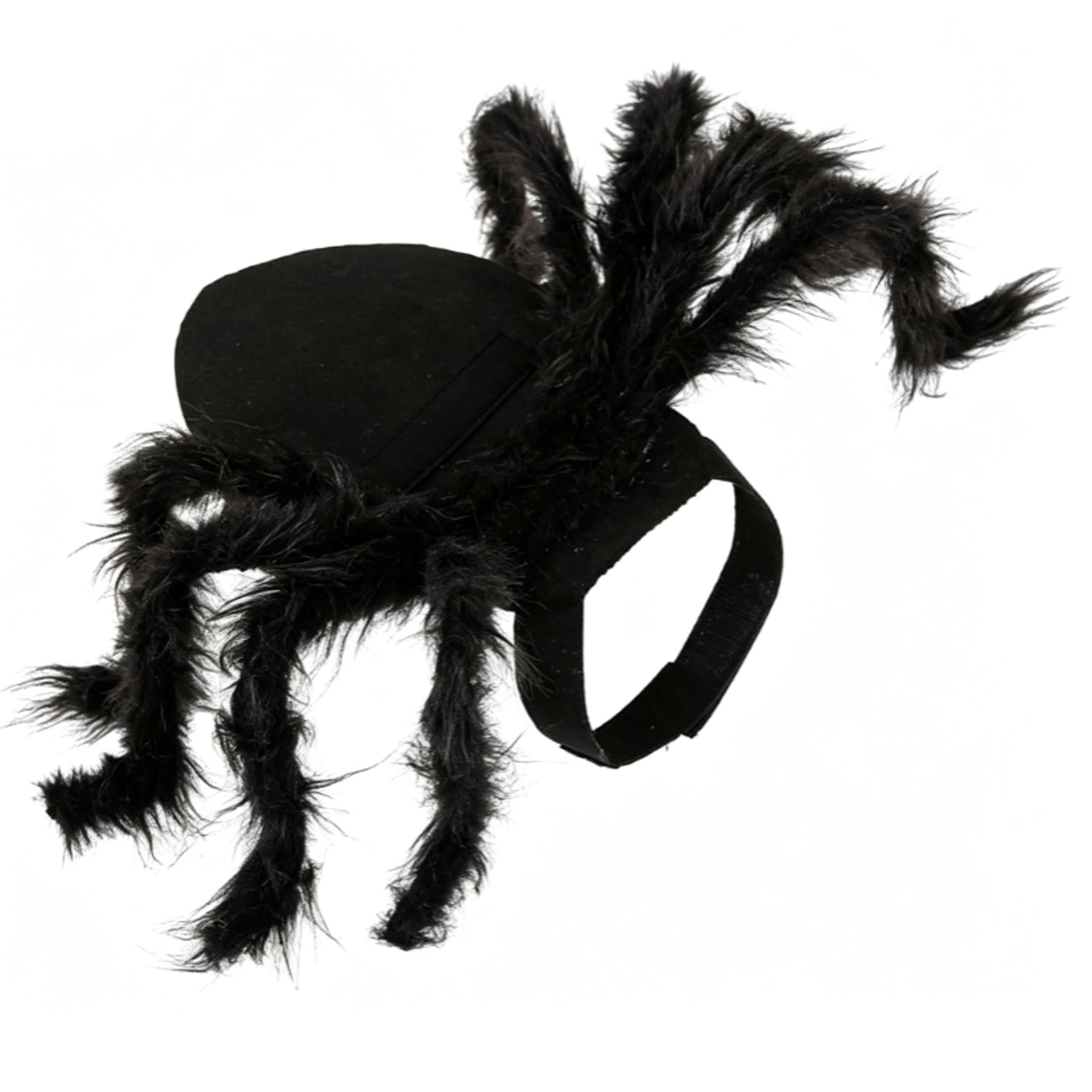Cat Spider Costume, Halloween Tarantula‑Style Outfit, Spider Costume ...