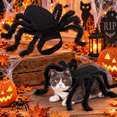 thumbnail image 1 of Cat Spider Costume Spooky Cat Holiday Cosplay ApparelCat Spider Costume Spooky Cat Holiday Cosplay Apparel, 1 of 6