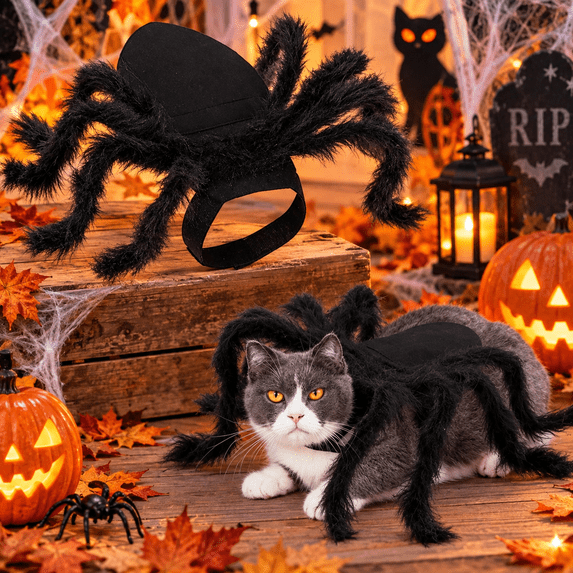 Cat Spider Costume Spooky Cat Holiday Cosplay ApparelCat Spider Costume Spooky Cat Holiday Cosplay Apparel