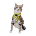 thumbnail image 1 of Sassy Meow Cat Step-In Harness Extra Small - Zest Friends, 1 of 7