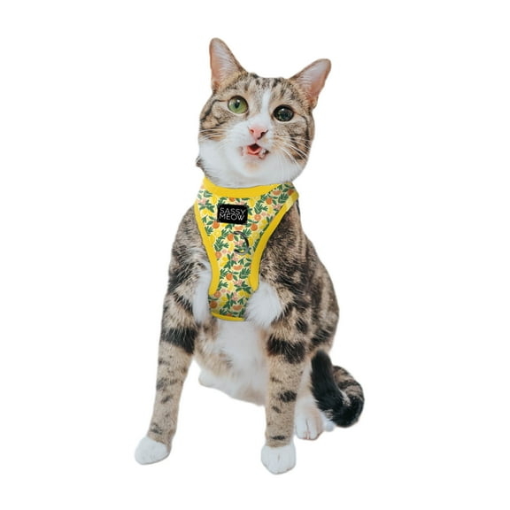 Sassy Meow Cat Step-In Harness Extra Small - Zest Friends