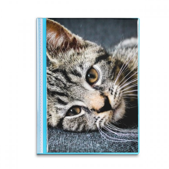 Cat Stripes Kitty Animal Relax Adorable Book Sheet Protectors Portfolio Binder Folder