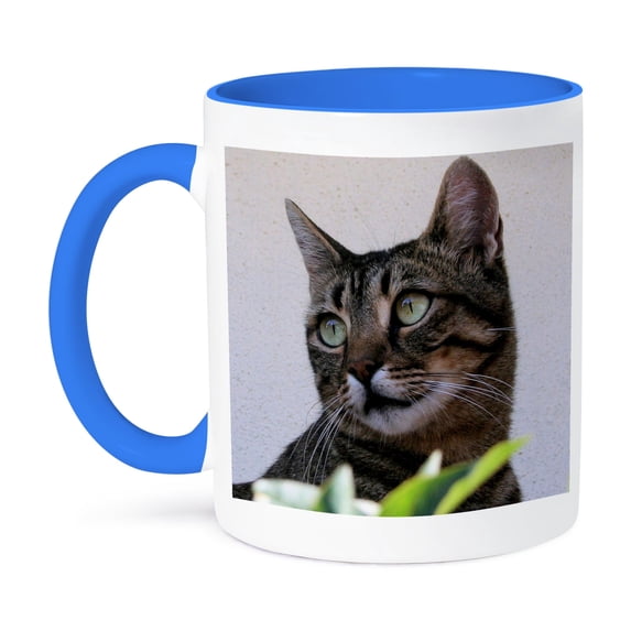 3dRose, Cat Tabby Cat, 11oz Two-Tone Blue Mug