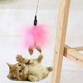 thumbnail image 1 of Cat Teaser Interactive Scratcher Toy Durable Pet Supplies with Steel Aluminum Alloy Design, 1 of 4