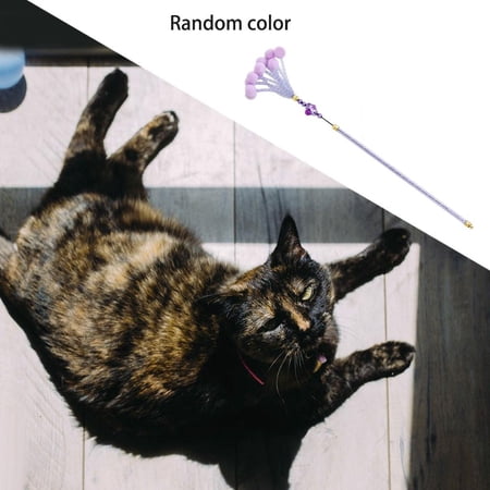 Cat Teasing Stick Durable Grip Interesting Sound Scratch Resistant Striking Chasing Stick for Kitten Training Exercising Playing Indoor Outdoor Toys