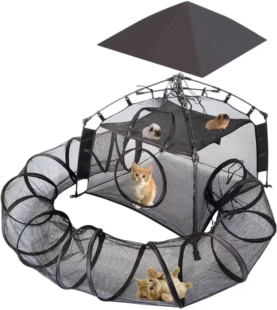 Cat play tent sale