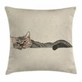 thumbnail image 1 of Cat Throw Pillow Cushion Cover, Lazy Sleepy Cat Figure in Earth Tones Cute Furry Mascot Indoor Pet Art Illustration, Decorative Square Accent Pillow Case, 18 X 18 Inches, Grey Beige, by Ambesonne, 1 of 2