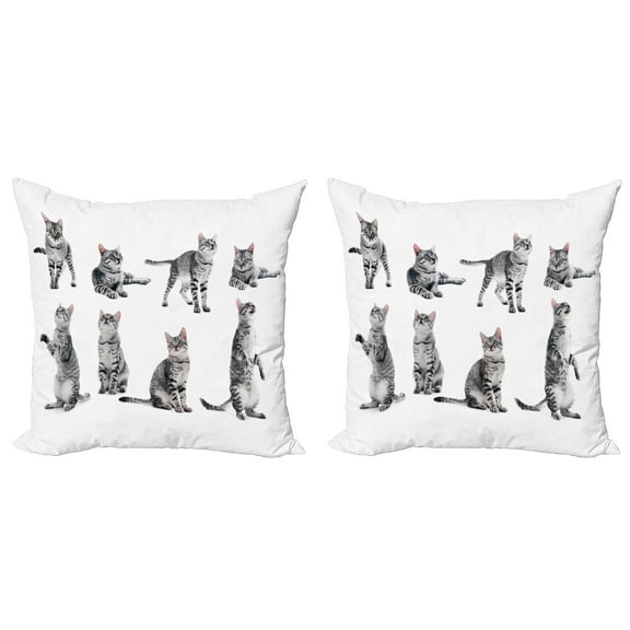 Ambesonne Cat Throw Pillow Cover 2 Pack, Photos of a Tabby Kitten Print, 16", White Pale Grey