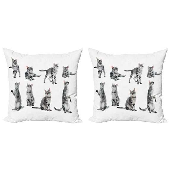 Ambesonne Cat Throw Pillow Cover 2 Pack, Photos of a Tabby Kitten Print, 16", White Pale Grey