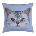 thumbnail image 1 of Cat Throw Pillow Cushion Cover, Scottish Straight Kitty Portrait Pet Lovely Companion Hipster Animal Graphic, Decorative Square Accent Pillow Case, 18 X 18 Inches, Light Grey Baby Blue, by Ambesonne, 1 of 2