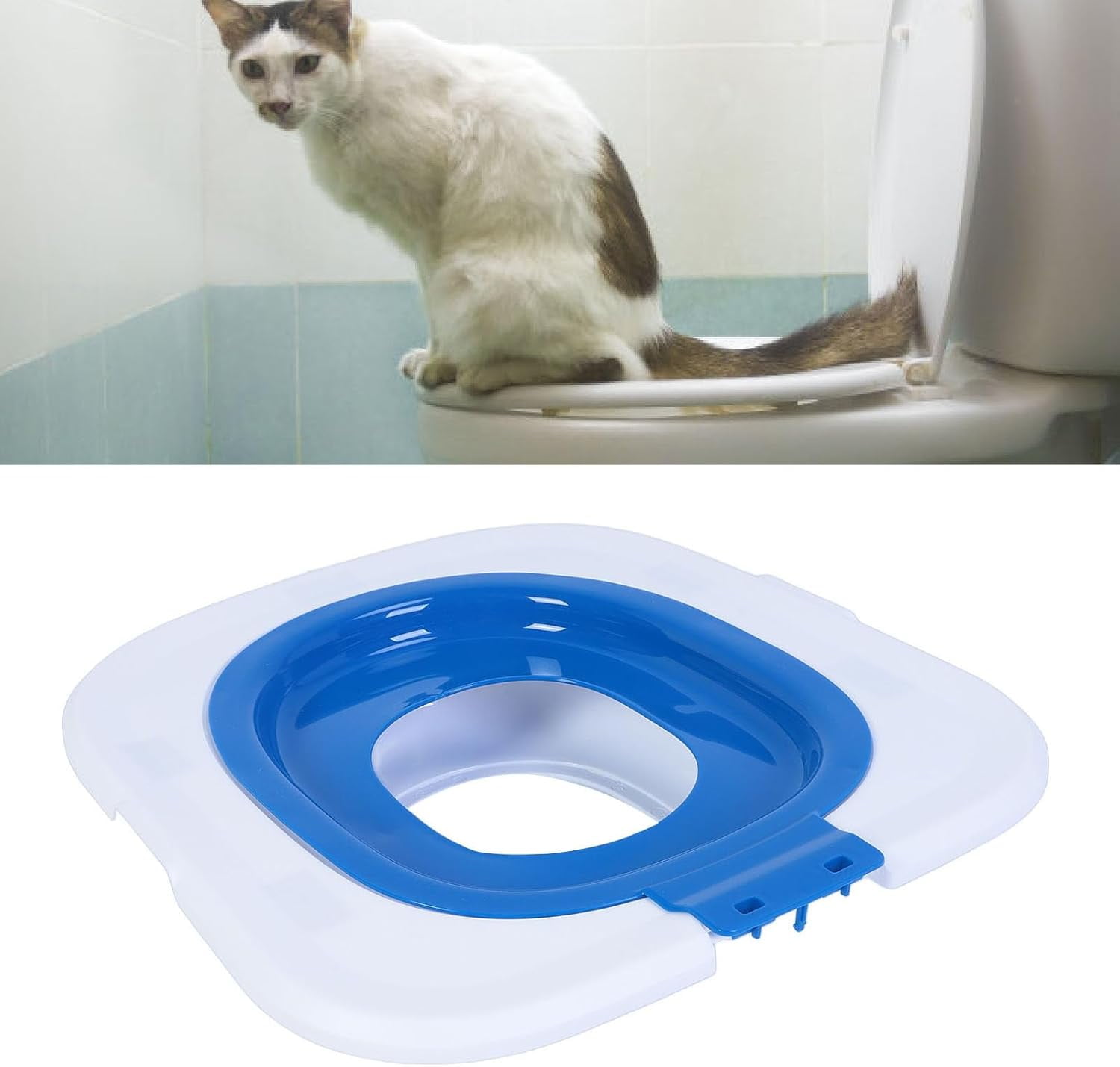 Cat Training Potty: Master Your Feline's Bathroom Habits