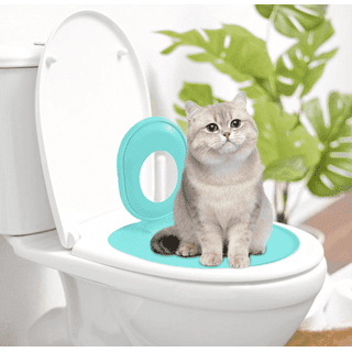 Can You Train Cats to Use the Toilet: Ultimate Guide & Tips