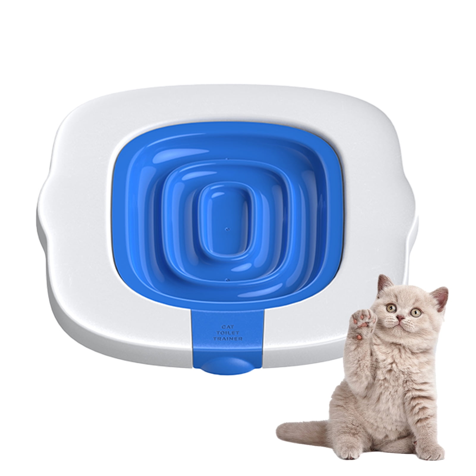 Cat Potty Training: Transform Your Feline's Routine