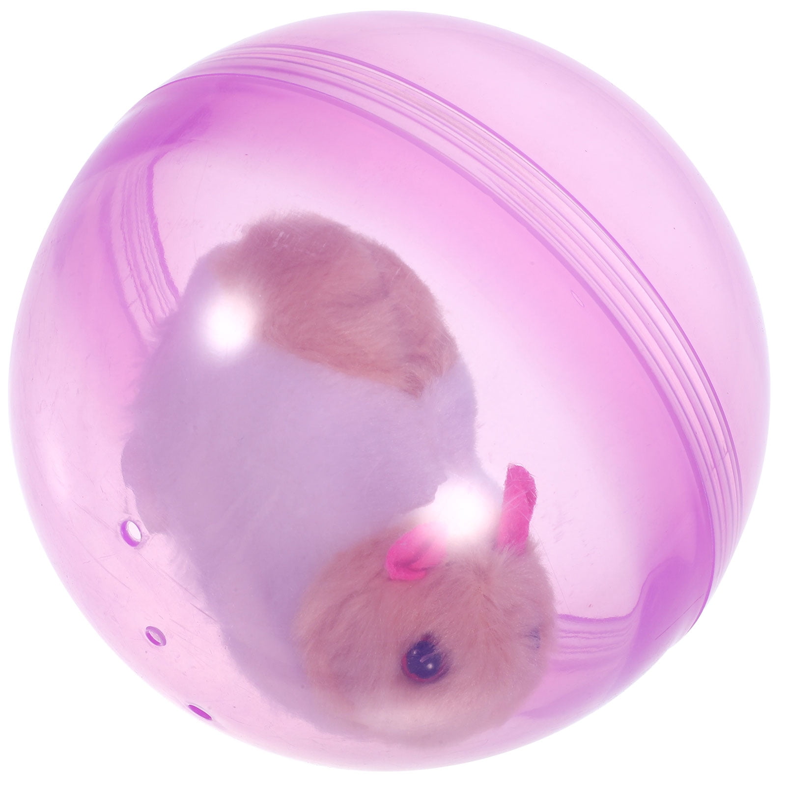 Hamster ball for cats best sale