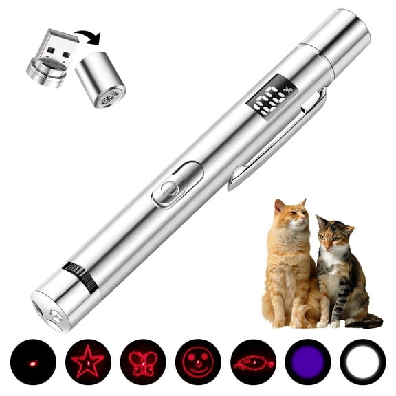 Cat Laser Pointer Toy Rechargeable,Interactive Toy for Cat Kitten Dog ,Silver
