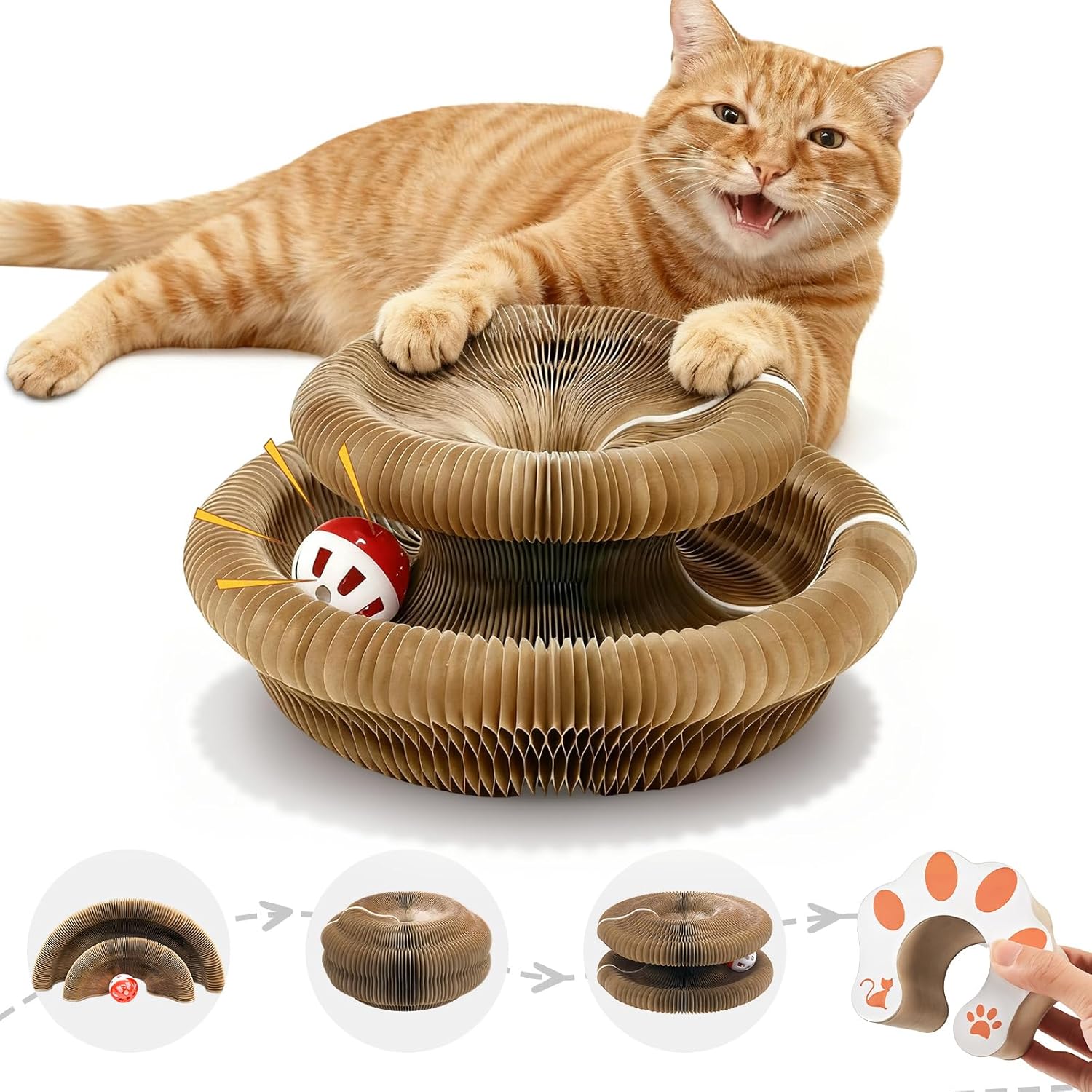 Curated visual reference: Fresh Look at Cat Toy Magic Organ Accordion Scratcher For Indoor Cats Interactive