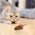 thumbnail image 1 of Cat Toy Realistic Mouse Shape Entertaining Toy Boredom Relief Interactive Clockwork Cat Plush Toy Pet Supplies-Brown, 1 of 8