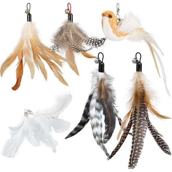 Cat Toy Refill Set – 6 Replacement Attachments for Teaser Wands, Includes 5 Feather Heads & 1 Lifelike Bird, Bell-Equipped, Interactive Accessories for Indoor Cats