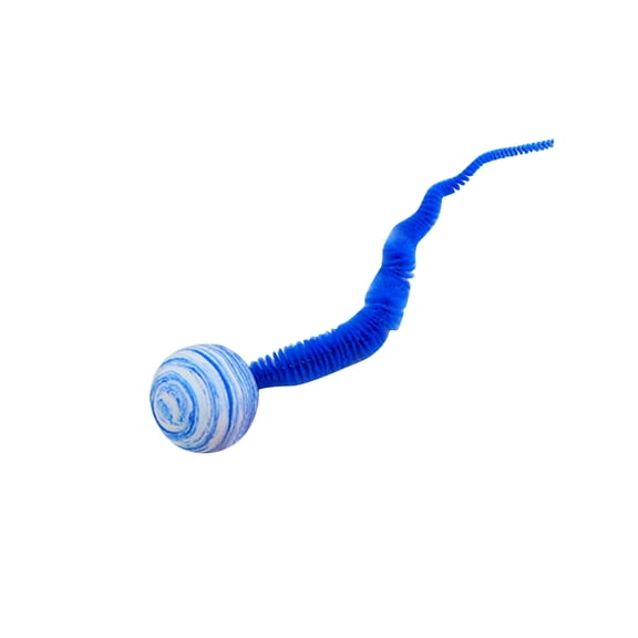 Cat Toys Under $5 Colorful Ball Star, Empty Ball With Tail, Caterpillar Pet Supplies, Grinding And Rolling Ball Interactive Cat Spring Toy Set for Cat, Kitty