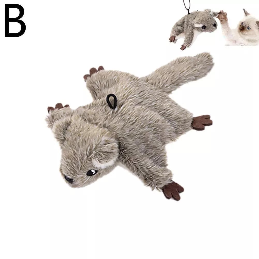 Grey squirrel