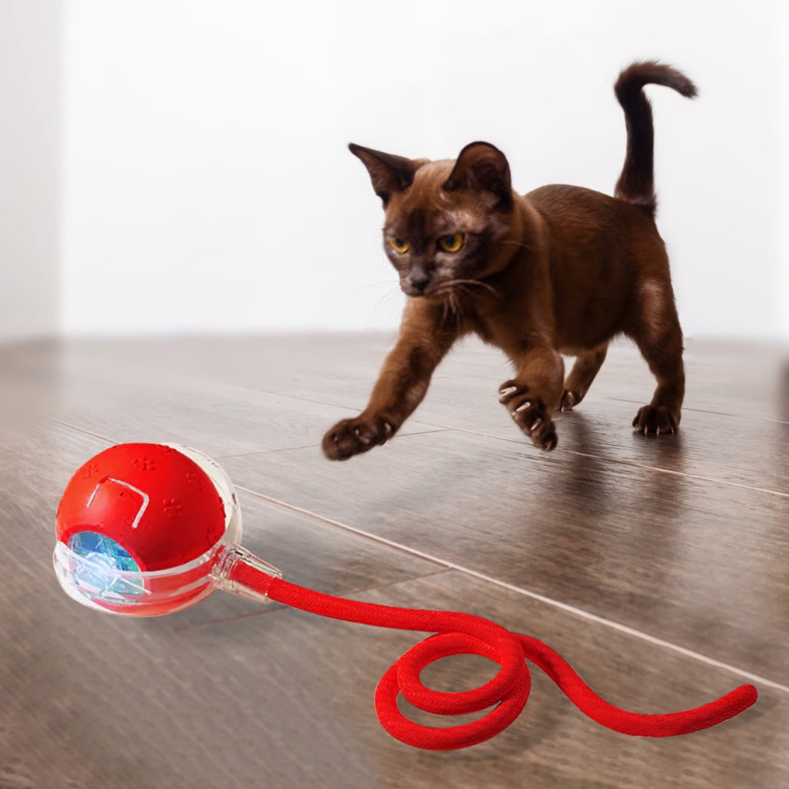 Cat Toys Clearance! Moving Ball Cat Toys with Feather Tail ...