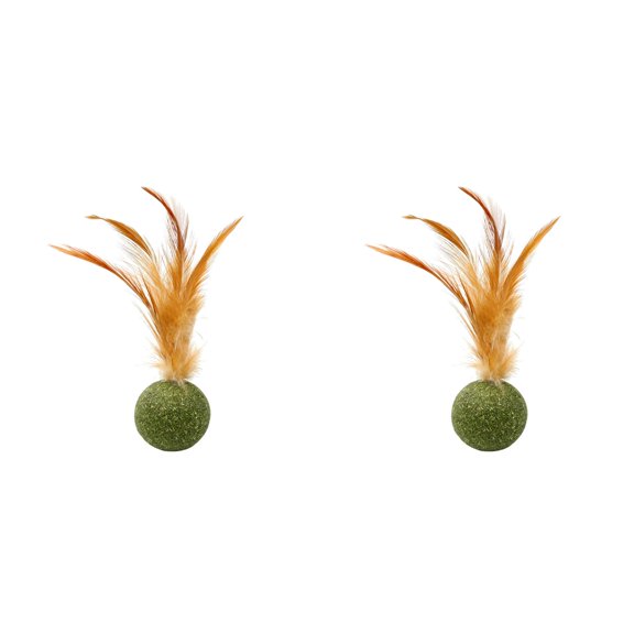 Cat Toys Feather Cat Toys For Cats Lick Chew Toys Teeth Cleaning Cat Toys Cat